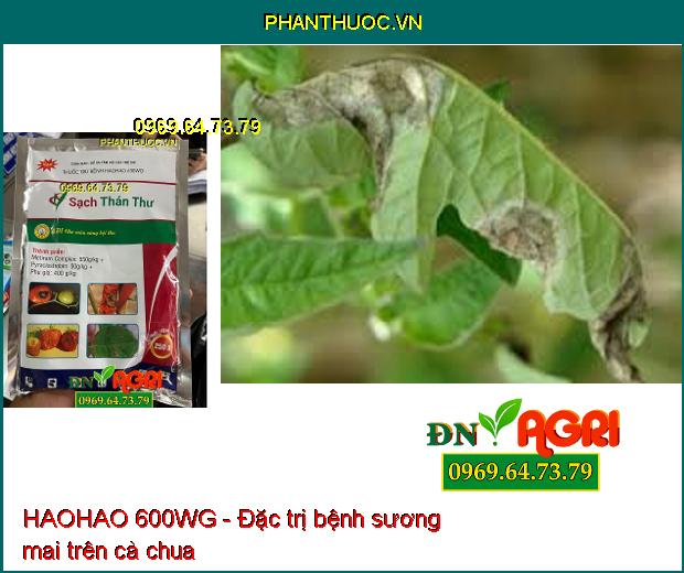 HAOHAO 600WG- Sạch Thán Thư, Phấn Trắng, Đạo Ôn, Sương Mai, Rỉ Sắt