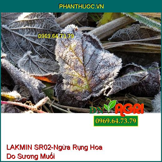 PHÂN BÓN LAKMIN SR02-Hạn Chế Rụng Hoa Do Sương Muối, Tăng Sức Đề Kháng Cho Cây