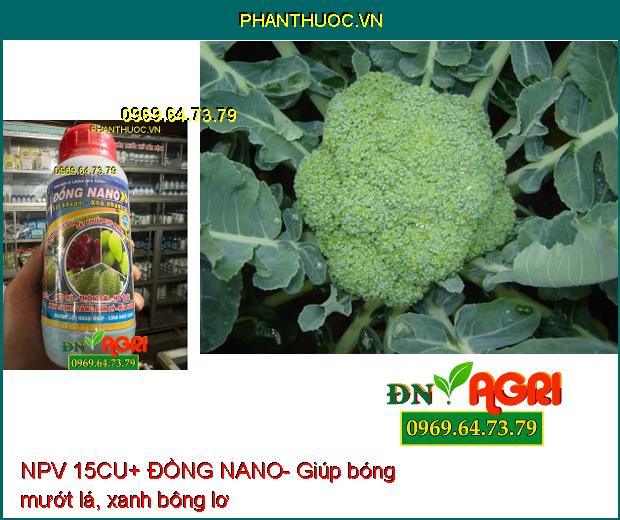 NPV 15CU+ ĐỒNG NANO- Sát Khuẩn Cực Mạnh, Bảo Vệ Cây Trồng Khỏi Héo Rủ