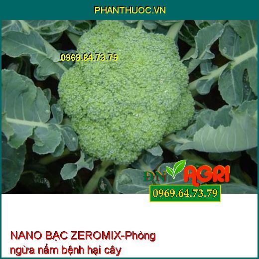 PHÂN BÓN LÁ NANO BẠC ZEROMIX- Ngừa Nấm Và Vi Khuẩn