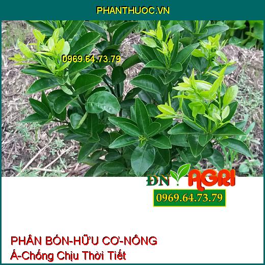 PHÂN BÓN LÁ RONG BIỂN – HỮU CƠ – NÔNG Á –Chống Chịu Thời Tiết, Tăng Đề Kháng