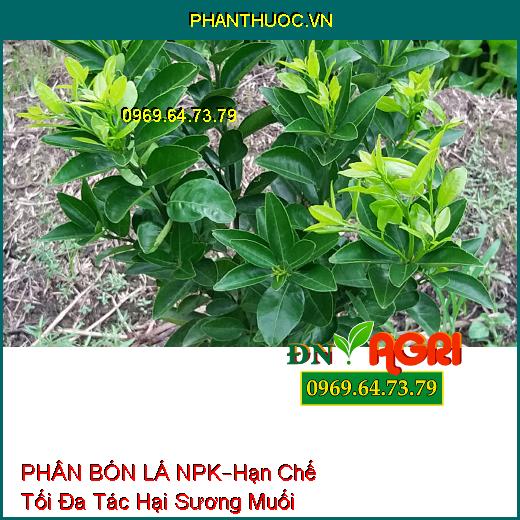 PHÂN BÓN LÁ NPK SINH HỌC –Hạn Chế Tối Đa Tác Hại Sương Muối, Hạt Lớn Đồng Đều