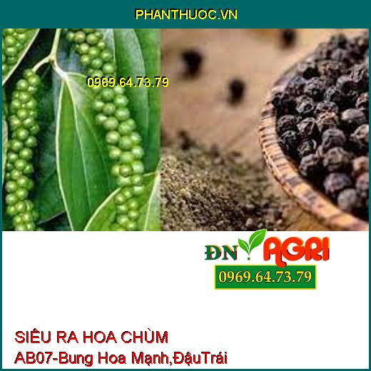 SIÊU RA HOA CHÙM AB07- Bung Hoa Cực Mạnh, Đậu Trái Tốt