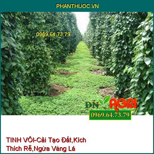 TINH VÔI-Nâng Cao PH Đất, Cải Tạo Đất, Kích Thích Rễ, Ngăn Ngừa Vàng Lá