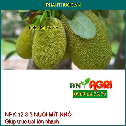 NPK 12-3-3 NUÔI MÍT NHỎ- Kéo Dài Trái, Sửa Tướng Mít, Hình Thành Cơm