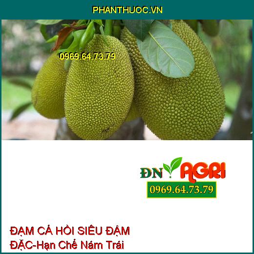 PHÂN BÓN HỮU CƠ ĐẠM CÁ HỒI SIÊU ĐẬM ĐẶC-Hạn Chế Nám Trái, Nâng Cao Năng Suất