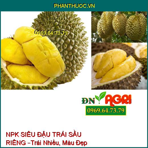 PHÂN BÓN LÁ NPK SINH HỌC SIÊU ĐẬU TRÁI SẦU RIÊNG –Trái Nhiều, Màu Đẹp