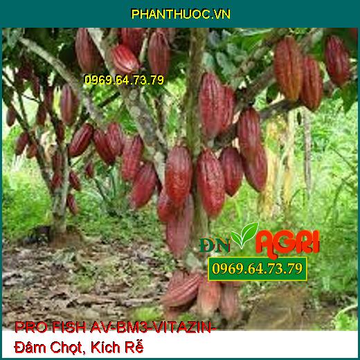 PRO FISH AV-BM3-VITAZIN- Đâm Chọt, Kích Rễ, Bóng Trái, Lớn Trái