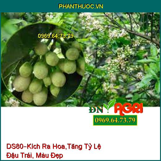 PHÂN BÓN DS80 –Giảm Lượng Kim Loại, Kích Ra Hoa,Tăng Tỷ Lệ Đậu Trái, Màu Đẹp