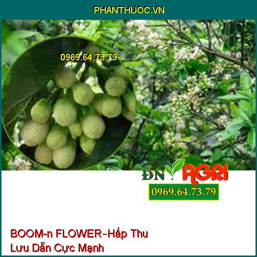 PHÂN BÓN LÁ CAO CẤP BOOM-n FLOWER –Hấp Thu Lưu Dẫn Cực Mạnh, Tăng Năng Suất