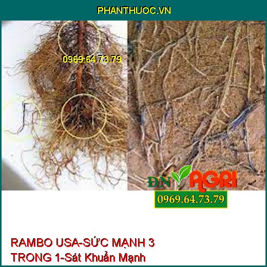 PHÂN BÓN CAO CẤP RAMBO USA – SỨC MẠNH 3 TRONG 1-Sát Khuẩn Cực Mạnh