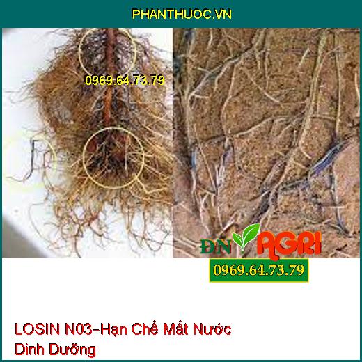 PHÂN BÓN LÁ LOSIN N03 –Hạn Chế Hiện Tượng Mất Nước Dinh Dưỡng, Phục Hồi Rễ