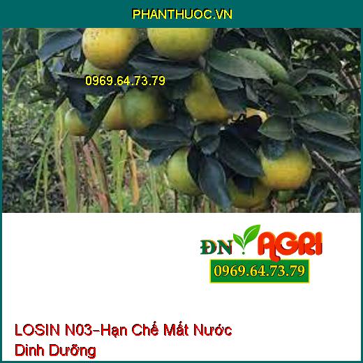 PHÂN BÓN LÁ LOSIN N03 –Hạn Chế Hiện Tượng Mất Nước Dinh Dưỡng, Phục Hồi Rễ