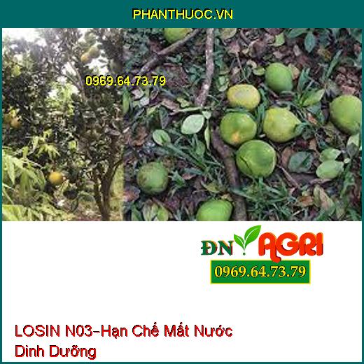 PHÂN BÓN LÁ LOSIN N03 –Hạn Chế Hiện Tượng Mất Nước Dinh Dưỡng, Phục Hồi Rễ