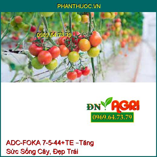 PHÂN BÓN LÁ NPK BỔ SUNG VI LƯỢNG ADC-FOKA 7-5-44+TE –Tăng Sức Sống Cây, Đẹp Trái