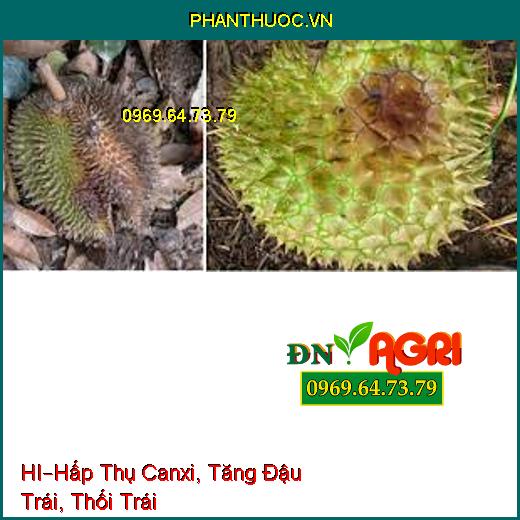 PHÂN BÓN LÁ HỮU CƠ KHOÁNG CAO CẤP HI –Hấp Thụ Canxi, Tăng Đậu Trái, Thối Trái