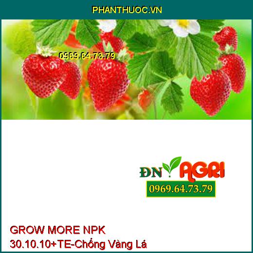 GROW MORE NPK 30.10.10+TE-Phục Hồi Đất Bị Bạc, Vàng Lá, Tăng Vị Ngot, Bóng Trái