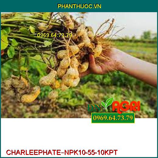 PHÂN BÓN LÁ CAO CẤP CHARLEEPHATE – NPK 10-55-10 KPT –Bung Chồi Cực