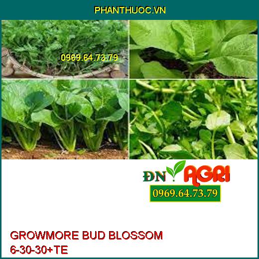 PHÂN BÓN LÁ GROWMORE BUD BLOSSOM 6-30-30+TE –Tăng Đậu Qủa, Đề Kháng, Bóng Trái