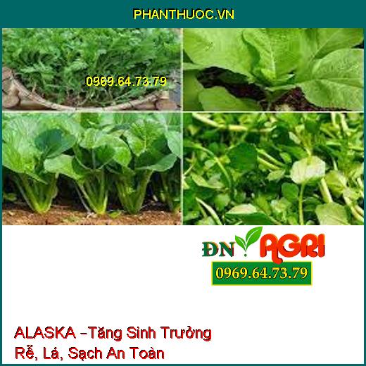 PHÂN BÓN LÁ ĐẠM CÁ ALASKA –Tăng Sinh Trưởng Rễ, Lá, Sạch An Toàn