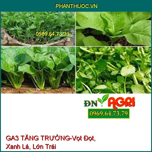 PHÂN BÓN CAO CẤP GA3 TĂNG TRƯỞNG-Vọt Đọt, Xanh Lá, Đẻ Nhánh, Dài Bông, Lớn Trái