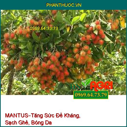 PHÂN BÓN VI LƯỢNG MANTUS –Tăng Sức Đề Kháng, Sạch Ghẻ, Bóng Da, Tránh Sương Muối