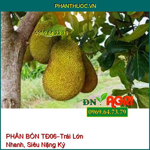 PHÂN BÓN TĐ06 –Giúp Cây Phát Triển, Trái Lớn Nhanh Tròn Đều, Siêu Nặng Ký