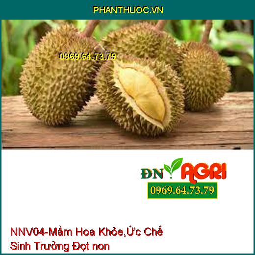 PHÂN BÓN NNV04 –Xử Lý Hoa Trái Vụ, Mầm Hoa Khỏe, Ức Chế Sinh Trưởng Đọt non