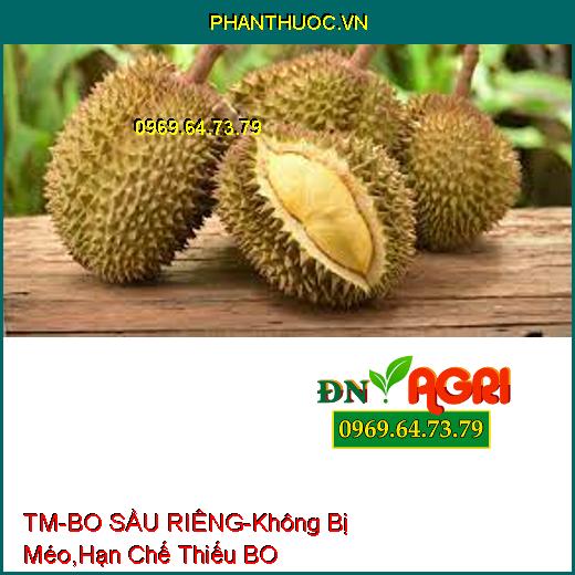 PHÂN BÓN TM-BO SẦU RIÊNG-Trái Thụ Phấn Không Bị Méo, Hạn Chế Hiện Tượng Thiếu BO