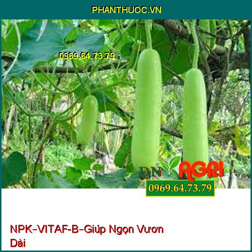 PHÂN BÓN HỖN HỢP NPK–VITAF-B – HẠN CHẾ NGHẼN ĐẦU LÂN-Giúp Ngọn Vươn Dài