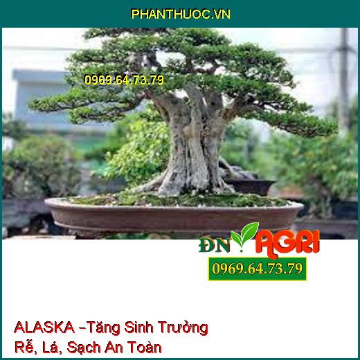 PHÂN BÓN LÁ ĐẠM CÁ ALASKA –Tăng Sinh Trưởng Rễ, Lá, Sạch An Toàn