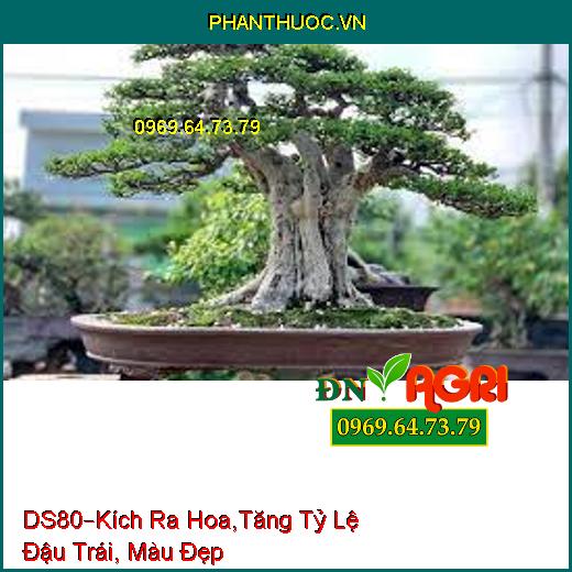 PHÂN BÓN DS80 –Giảm Lượng Kim Loại, Kích Ra Hoa,Tăng Tỷ Lệ Đậu Trái, Màu Đẹp