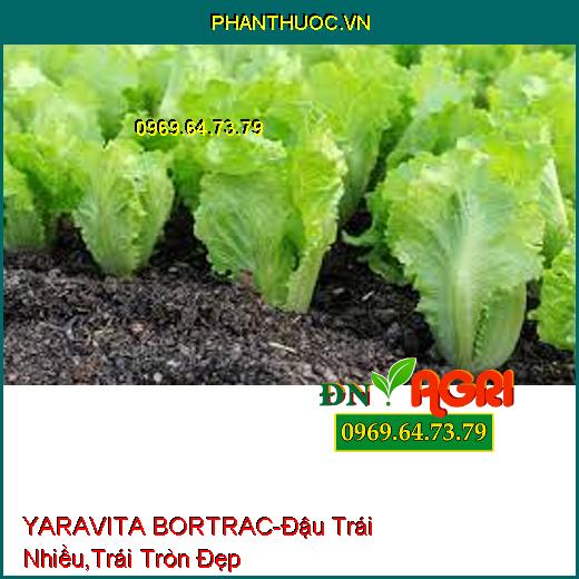 YARAVITA BORTRAC- Đậu Trái Nhiều, Định Hình Trái Tròn Đẹp