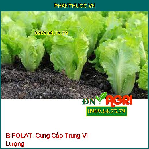 PHÂN BÓN LÁ CAO CẤP BIFOLAT –Cung Cấp Trung Vi Lượng, Thích Nghi Thời Tiết