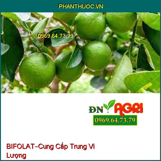 PHÂN BÓN LÁ CAO CẤP BIFOLAT –Cung Cấp Trung Vi Lượng, Thích Nghi Thời Tiết