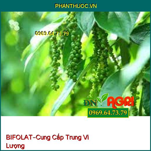 PHÂN BÓN LÁ CAO CẤP BIFOLAT –Cung Cấp Trung Vi Lượng, Thích Nghi Thời Tiết