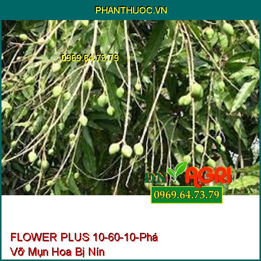 PHÂN BÓN FLOWER PLUS 10-60-10 – Phá Vỡ Mụn Hoa Bị Nín, Nghẹn Hoa Chai Đầu