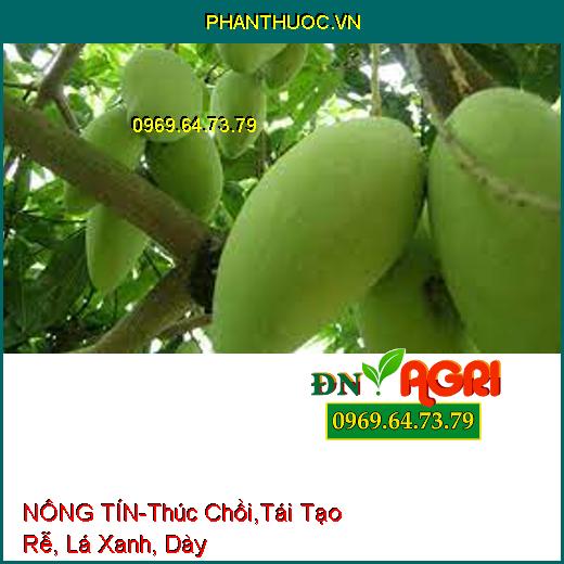 PHÂN BÓN NÔNG TÍN-Thúc Chồi, Cung Cấp Khoáng Amin, Tái Tạo Rễ, Lá Xanh, Dày