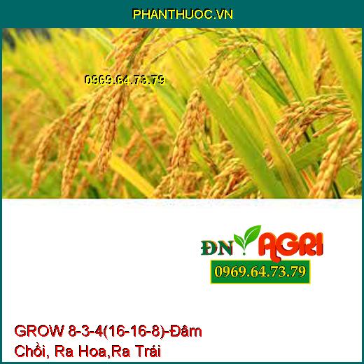 Phân bón lá grow 8-3-4 (16-16-8) -Đâm Chồi , Đâm Hoa Ra Trái, Bổ Sung NAA GA3v