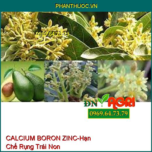 CALCIUM BORON ZINC -Hạn Chế Rụng Trái Non, Ra Hoa Đồng Loạt, Tăng Đậu Trái