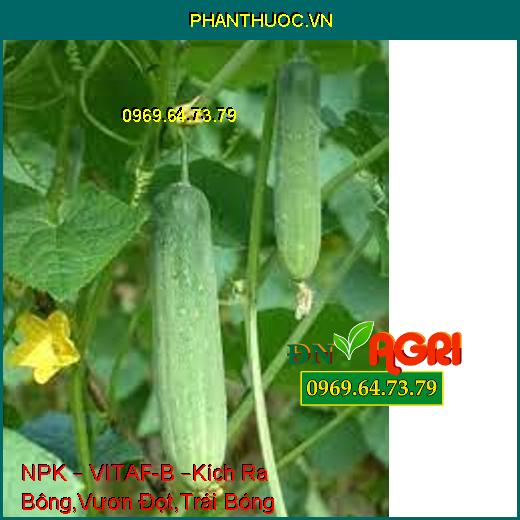 PHÂN BÓN HỖN HỢP NPK – VITAF-B –Kích Ra Bông, Vươn Đọt Nhanh, Trái Bóng Mướt