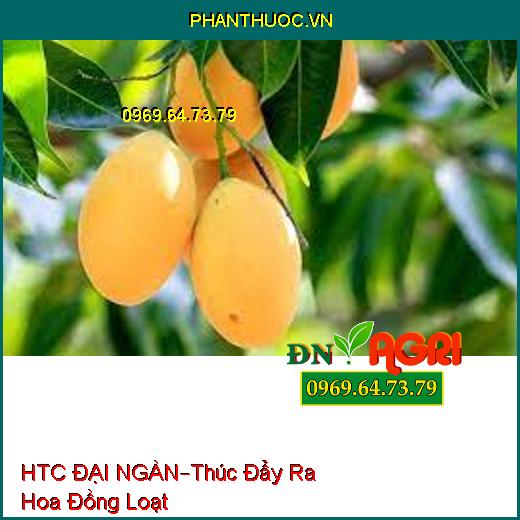 HTC ĐẠI NGÀN–Thúc Đẩy Ra Hoa Đồng Loạt