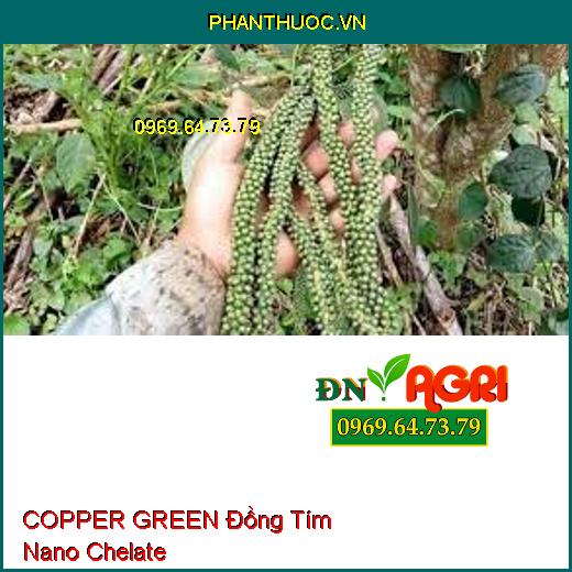 COPPER GREEN Đồng Tím Nano Chelate - Rửa Vườn, Kháng Vàng Lá, Nứt Thân, Thối Trái