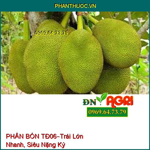 PHÂN BÓN TĐ06 –Giúp Cây Phát Triển, Trái Lớn Nhanh Tròn Đều, Siêu Nặng Ký