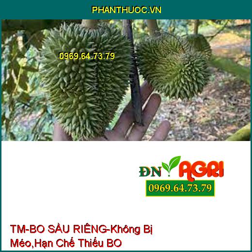 PHÂN BÓN TM-BO SẦU RIÊNG-Trái Thụ Phấn Không Bị Méo, Hạn Chế Hiện Tượng Thiếu BO