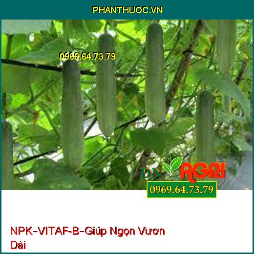 PHÂN BÓN HỖN HỢP NPK–VITAF-B – HẠN CHẾ NGHẼN ĐẦU LÂN-Giúp Ngọn Vươn Dài