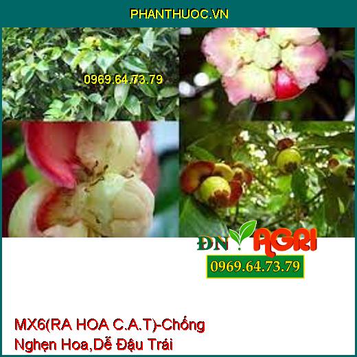 PHÂN BÓN HỖN HỢP MX6 (RA HOA C.A.T)-Chống Nghẹn Hoa, Dễ Đậu Trái