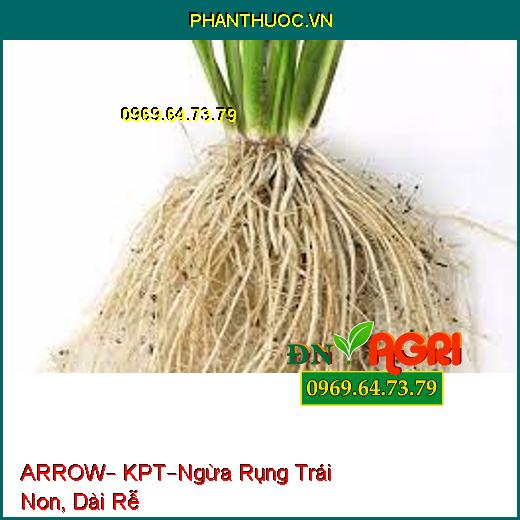 PHÂN BÓN LÁ ARROW – KPT –Ngăn Ngừa Rụng Trái Non, Mộc Mọng Sớm , Dài Rễ