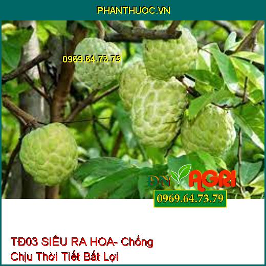 PHÂN BÓN TĐ 03 SIÊU RA HOA- Chống Chịu Thời Tiết Bất Lợi, Tăng Năng Suất