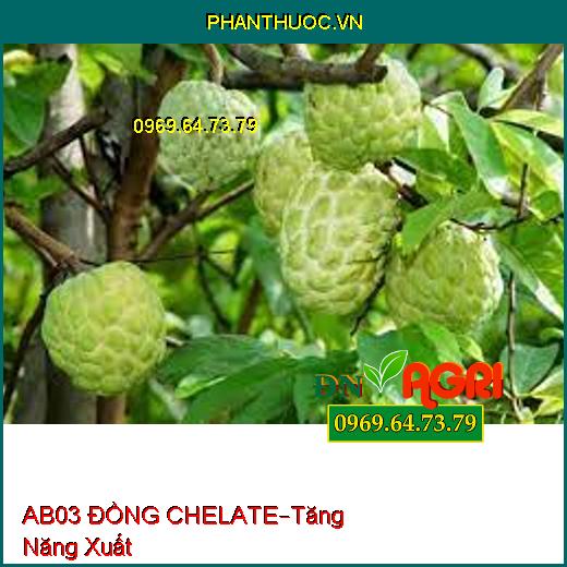 PHÂN BÓN AB03 ĐỒNG CHELATE –Rữa Vườn, Cung Cấp Kali, Tăng Năng Xuất